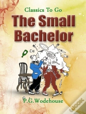 Capa do artigo Small Bachelor