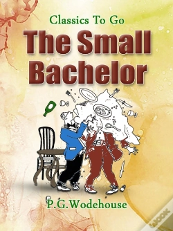 Capa do artigo Small Bachelor