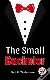 Capa do artigo Small Bachelor