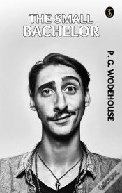 Capa do artigo Small Bachelor