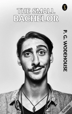 Capa do artigo Small Bachelor