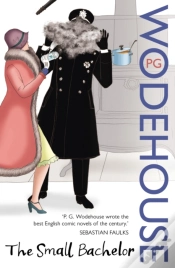 Capa do artigo Small Bachelor
