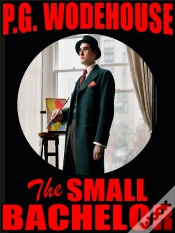 Capa do artigo Small Bachelor