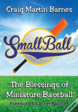 Capa do artigo Small Ball