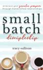 Small Batch Discipleship - Preview