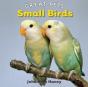 Small Birds - Preview