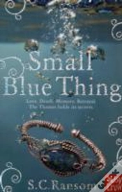 Capa do artigo Small Blue Thing