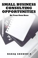 Small Business Consulting Opportunities