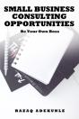 Small Business Consulting Opportunities - Preview