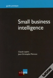 Small Business Intelligence
