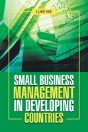 Small Business Management In Developing Countries - Preview