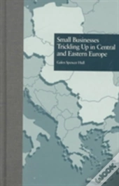 Small Businesses Trickling Up In Central And Eastern Europe