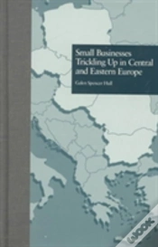 Capa do artigo Small Businesses Trickling Up In Central And Eastern Europe
