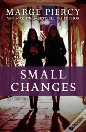 Capa do artigo Small Changes