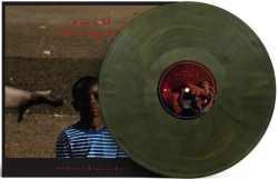 Capa do artigo Small Changes - Vinil