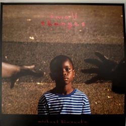 Capa do artigo Small Changes - Vinil