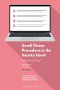 Small Claims Procedure In The County Court: A Practical Guide - Preview