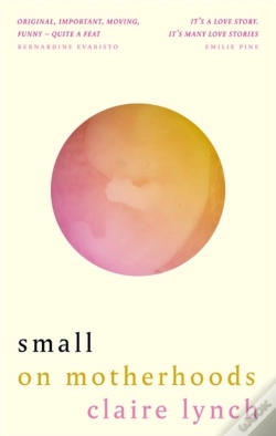 Capa do artigo Small