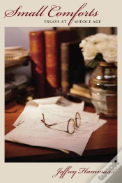 Capa do artigo Small Comforts