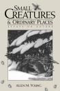 Small Creatures And Ordinary Places - Preview