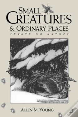 Capa do artigo Small Creatures And Ordinary Places
