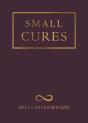 Small Cures - Preview