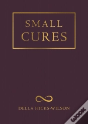 Capa do artigo Small Cures