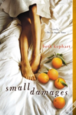 Capa do artigo Small Damages