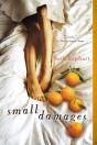 Small Damages - Preview