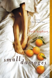 Capa do artigo Small Damages