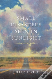 Small Disasters Seen In Sunlight