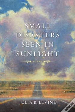Capa do artigo Small Disasters Seen In Sunlight