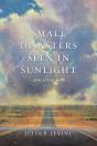 Small Disasters Seen In Sunlight - Preview