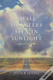 Capa do artigo Small Disasters Seen In Sunlight