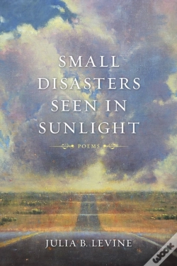 Capa do artigo Small Disasters Seen In Sunlight