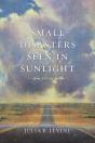 Small Disasters Seen In Sunlight - Preview