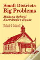 Small Districts, Big Problems