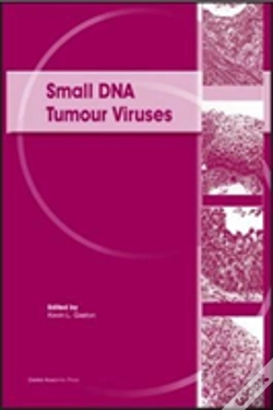 Capa do artigo Small Dna Tumour Viruses