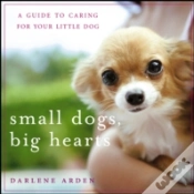 Capa do artigo Small Dogs, Big Hearts