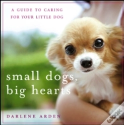 Capa do artigo Small Dogs, Big Hearts