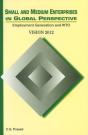 Small & Medium Enterprises In Global Perspective - Preview
