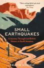 Small Earthquakes - Preview