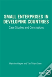 Capa do artigo Small Enterprises In Developing Countries