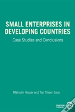 Capa do artigo Small Enterprises In Developing Countries