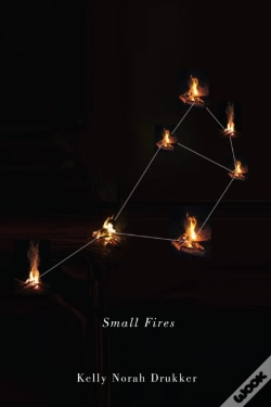 Capa do artigo Small Fires