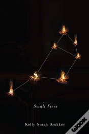 Capa do artigo Small Fires