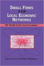 Small Firms And Local Economic Networks - Preview