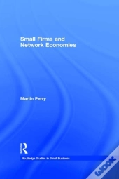 Small Firms And Network Economies