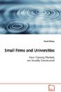 Small Firms And Universities - Preview