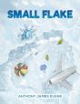 Small Flake - Preview